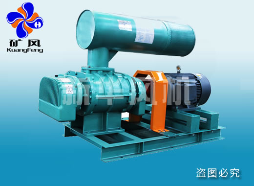 羅茨風機 回轉(zhuǎn)風機